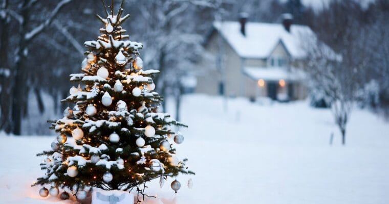 Navidad, Fin de Año y Reyes