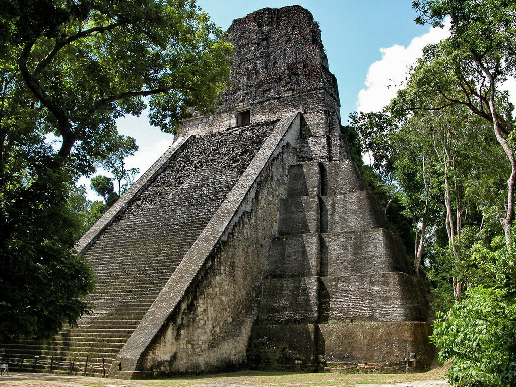 Guatemala Tikal D8006