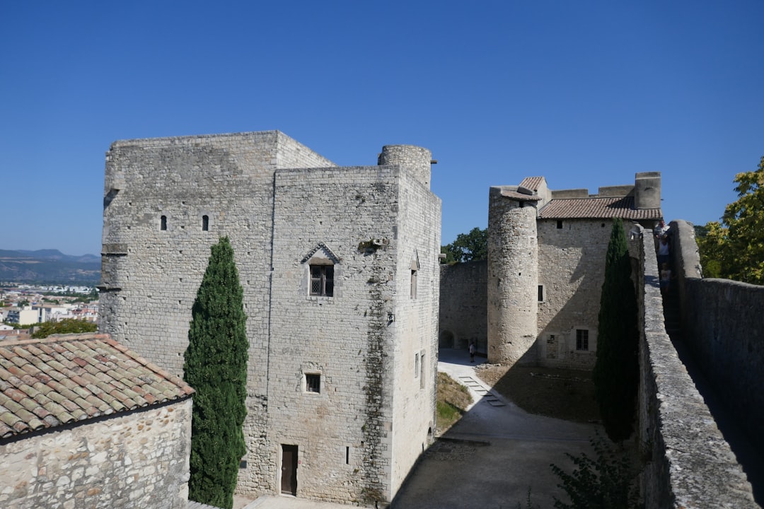 Castillos Del Lioira