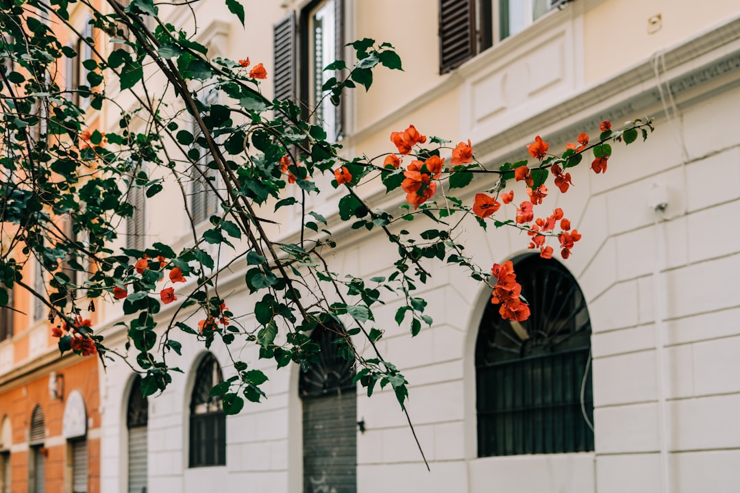 Italia Romántica Venecia, Florencia Y Roma