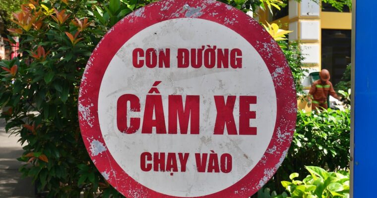 Vietnam Tradicional